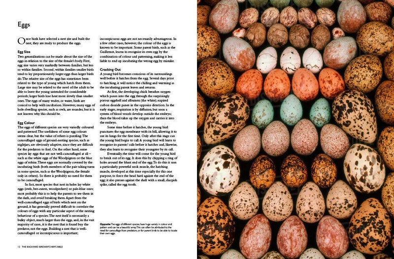 Backyard Birdwatcher's Bible