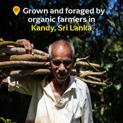 Man carrying logs, representing Diaspora Co. Spices - Wild Cinnamon Quills, sourced from organic Sri Lankan farmers, enhancing culinary aromas with fresh, potent flavor.