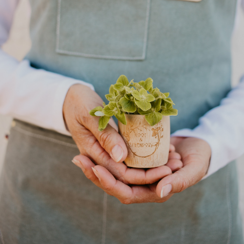 Root & Splendor | Bamboo Measuring Cup