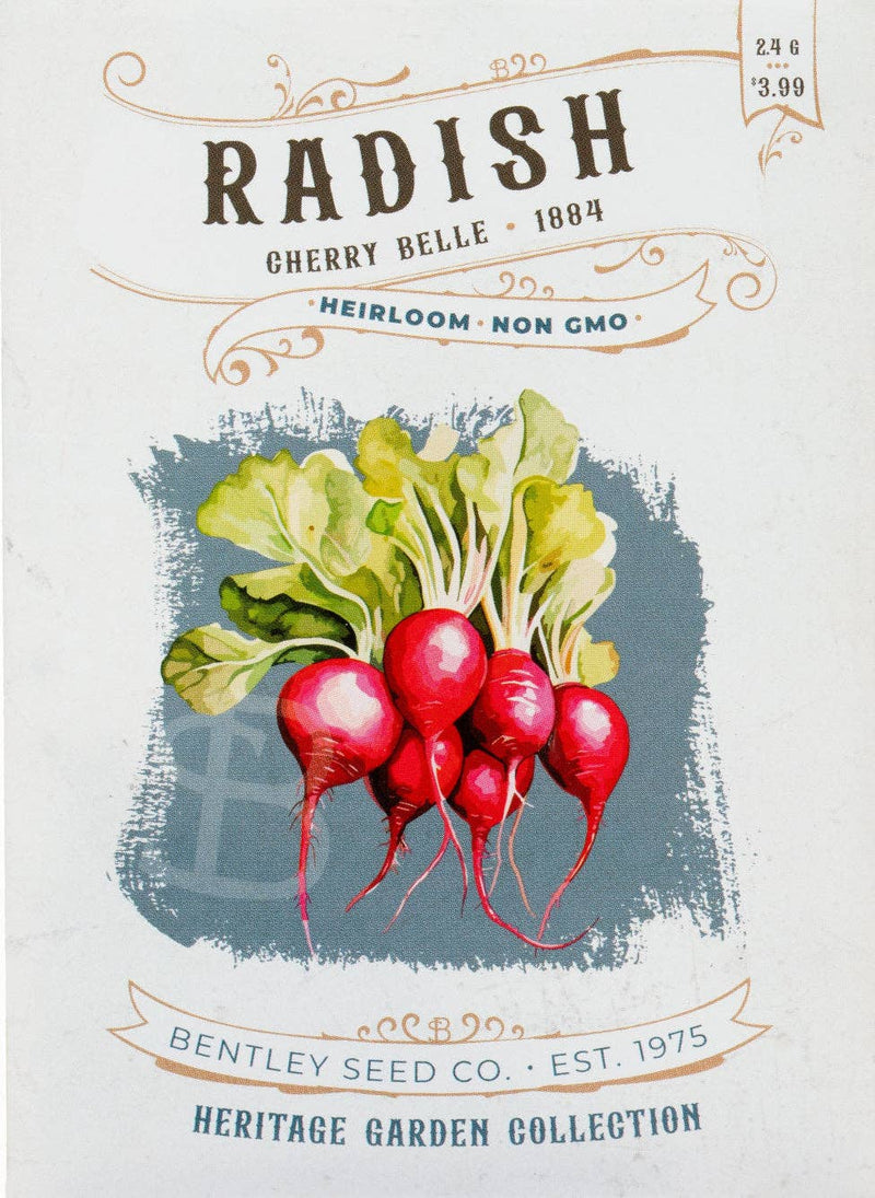 Bentley Seed Co. - Radish-Cherry Belle 1884 packet, featuring heirloom non-GMO seeds, illustration of red radishes with green tops, priced at $3.99, ideal for quick growing salads.
