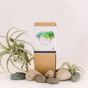 Root & Splendor Laundry Soap Concentrate - Hush - 1.5L shown in sustainable packaging, emphasizing eco-friendly, non-toxic formula with essential oil blends for effective laundry care.