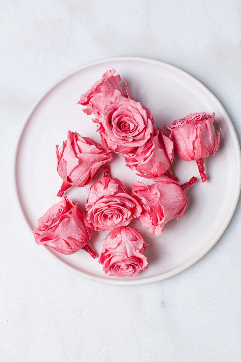 Idlewild Floral Co. - Candy Pink Preserved Roses, featuring 9 bright pink preserved rose heads, ideal for crafting, special events, or floral arrangements.