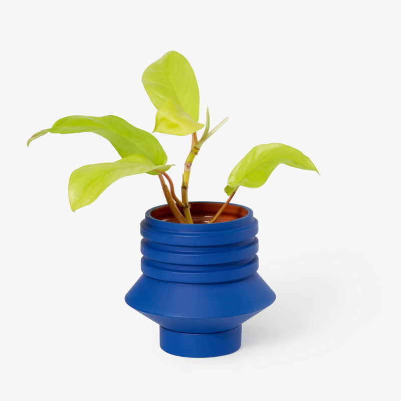 Areaware - Strata Plant Vessel: Green, a ceramic planter with layered design, housing a plant in a blue pot, inspired by sculptural heritage.