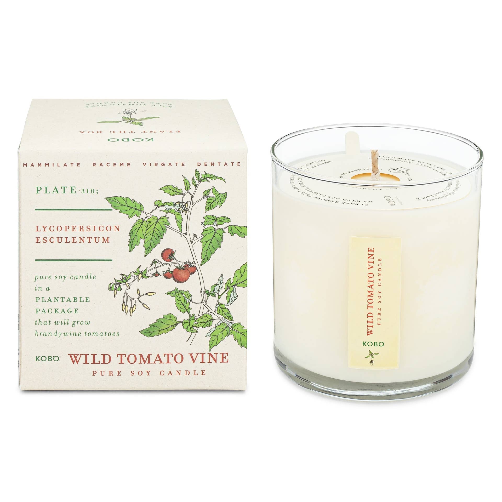 Wild Tomato Vine - Plant the Box Candle - 9oz. - Thumbnail 4