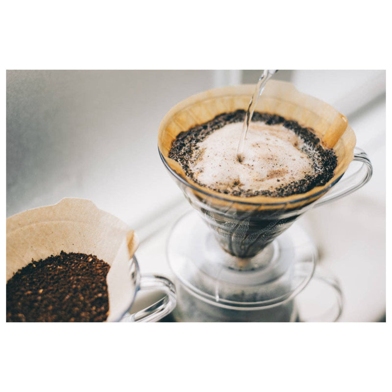 HARIO USA - V60 Paper Filters in use with glass drippers, showcasing blooming coffee. Ideal for precise brewing, enhancing clarity and taste.