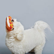 Bichon-type dog holding Ware of the Dog - Hand Knit Hot Dog Dog Toy, crafted from 100% lambswool with natural dyes, supporting Nepalese craftswomen.
