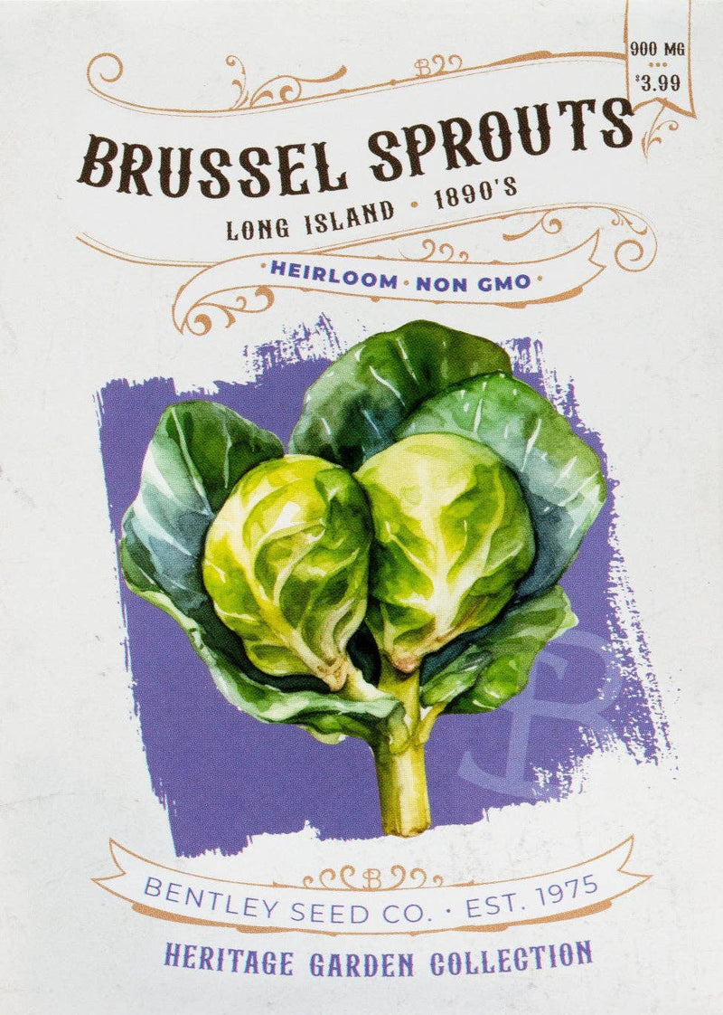 Bentley Seed Co. - Brussel Sprouts-Long Island 1890's seed packet, featuring heirloom, non-GMO Brussels sprouts illustration, vintage design, 900 MG, priced at $3.99.