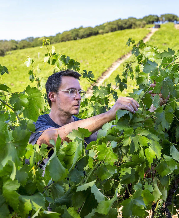 Brea | Cabernet Sauvignon "Margarita Vineyard"