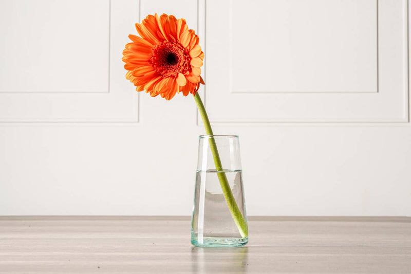 Moroccan Cone Champagne Glasses - Set of 6, handblown from recycled wine bottles, showcasing unique bubbles and organic shapes, ideal for champagne or as vases.