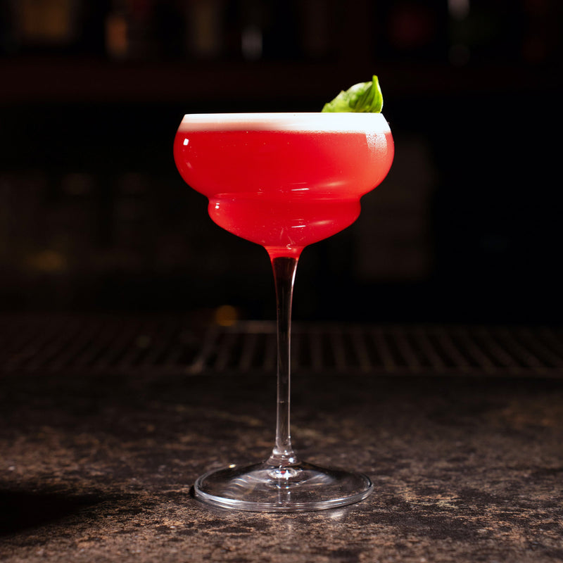 Bormioli | Backdoor '20s Cocktail Glasses, 5.75 oz.