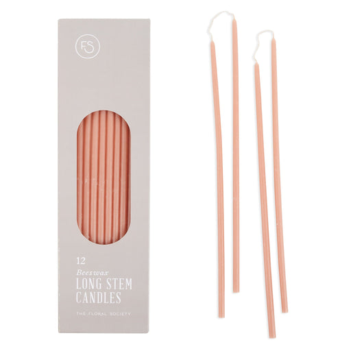 The Floral Society | Long Stem Beeswax Candles, Blossom: Boxed set of 12 peachy-pink taper candles, with loose samples, ideal for intimate dinners and quiet rituals.