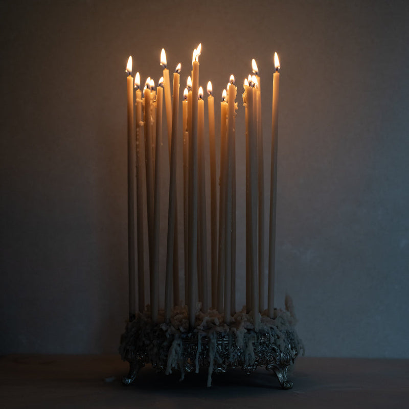 The Floral Society | Long Stem Beeswax Candles, Salt