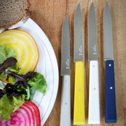 Opinel | Bon Appetit Steak Knives, Navy, elegantly displayed on a wooden board beside a salad plate, showcasing colorful handles and sleek stainless-steel blades.