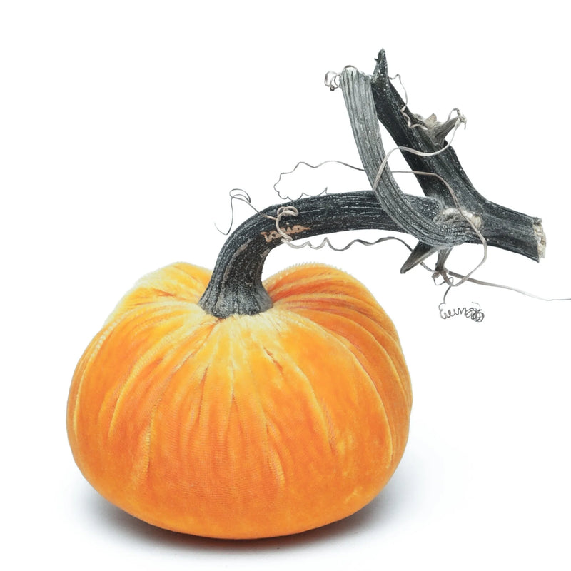 Hot Skwash | Silk Velvet Pumpkin - Bronze Jumbo Junior, handcrafted with a unique, naturally sourced pumpkin stem, showcasing luxurious detail and artisanal craftsmanship.