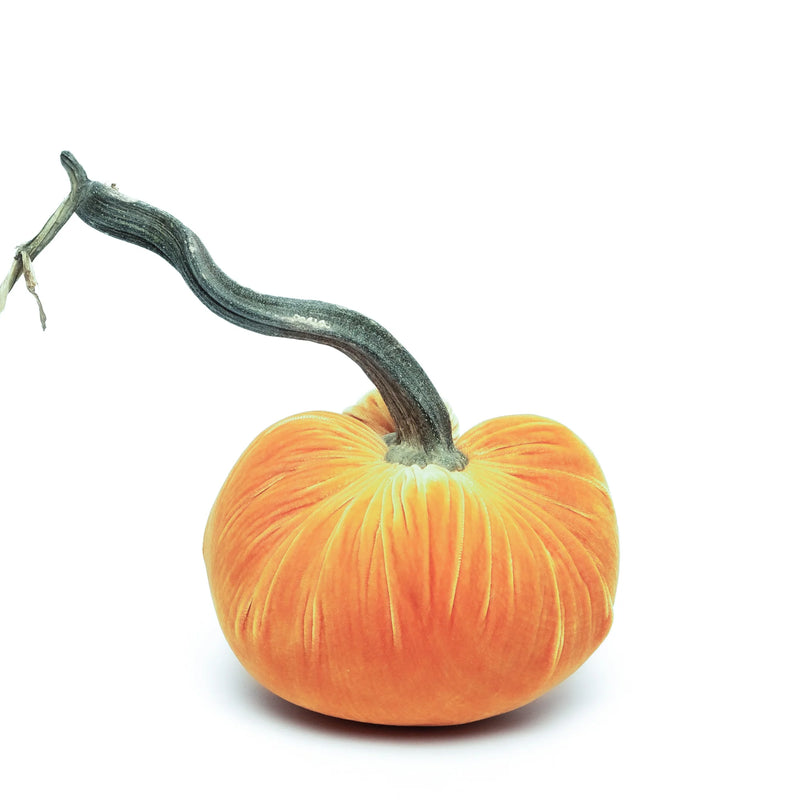 Hot Skwash | Silk Velvet Pumpkins - Bronze - 8: Close-up of a luxurious, handcrafted velvet pumpkin with a unique, naturally sourced stem, showcasing artisanal elegance.