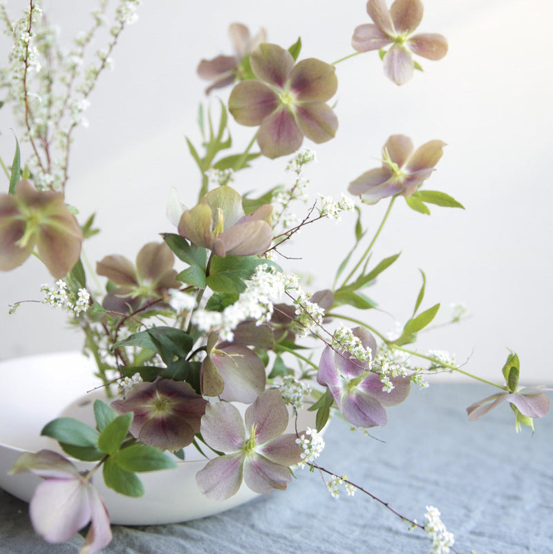 The Floral Society | Ceramic Flower Frog Bowl