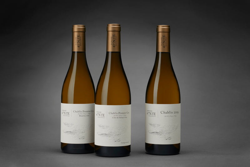 Guillaume Michaut Petit | 2023 Petit Chablis