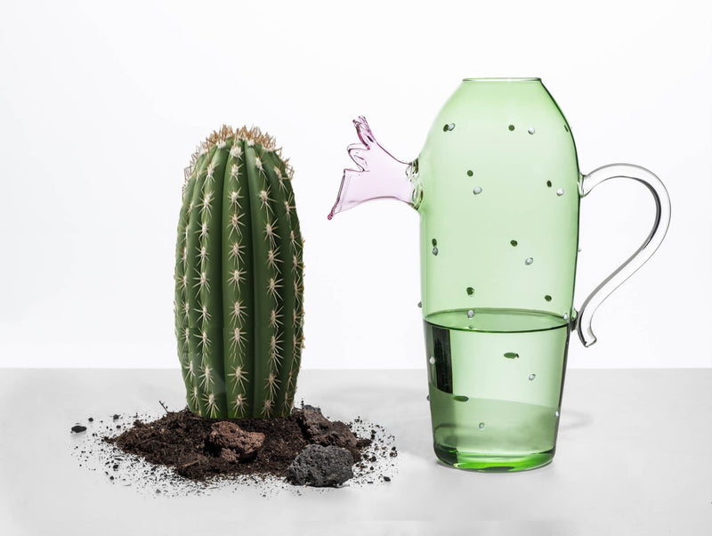 Ichendorf | Desert Plants Cactus Jug, 50.7 oz