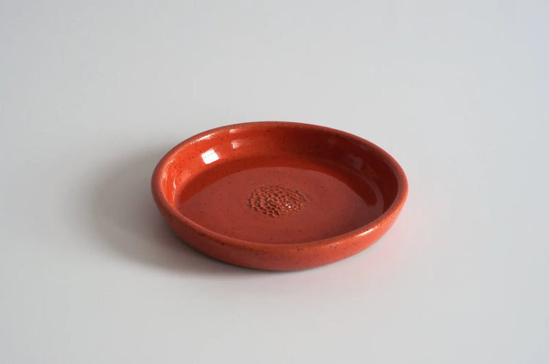 RachaelPots | Garlic Scraper, Light Blue
