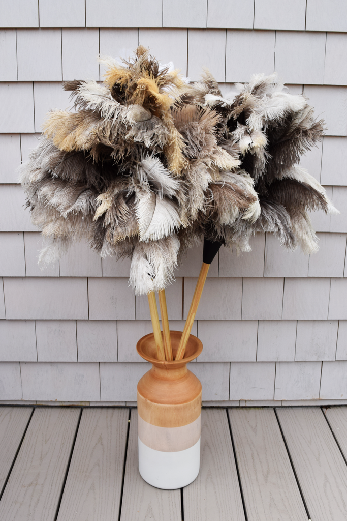 Earth & Nest | Feather Duster with premium feathers on a blond wood handle, ideal for elegant cleaning, displayed in a vase for decorative appeal.