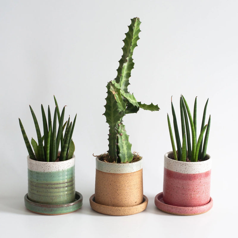 RachaelPots | Salad Dressing Bowl, Pink