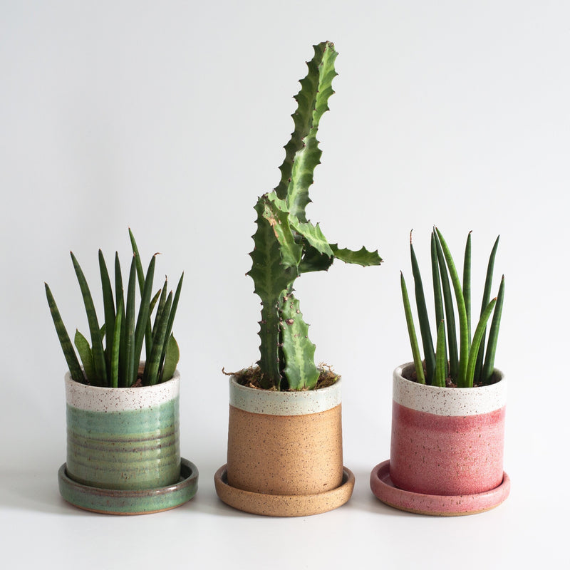 RachaelPots | Salad Dressing Bowl, Robin's Egg Blue