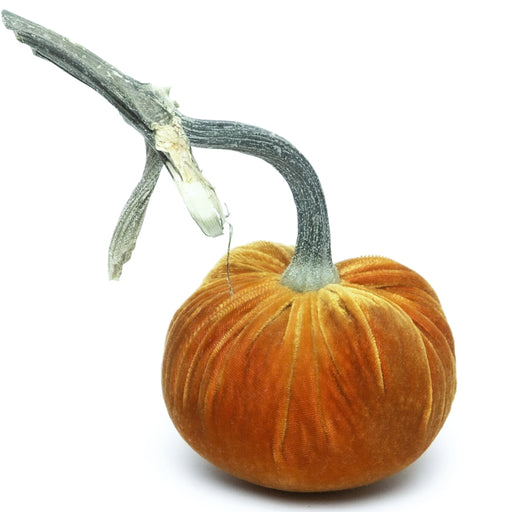 Hot Skwash | Silk Velvet Pumpkin - Bronze - Jumbo, featuring a handcrafted velvet body with a unique, naturally sourced stem, adding elegance to home decor.