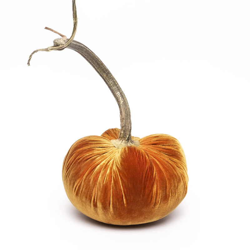 Hot Skwash Silk Velvet Pumpkin - Bronze - Jumbo, featuring a handcrafted velvet body with a unique, naturally sourced stem, adding elegance to any decor.