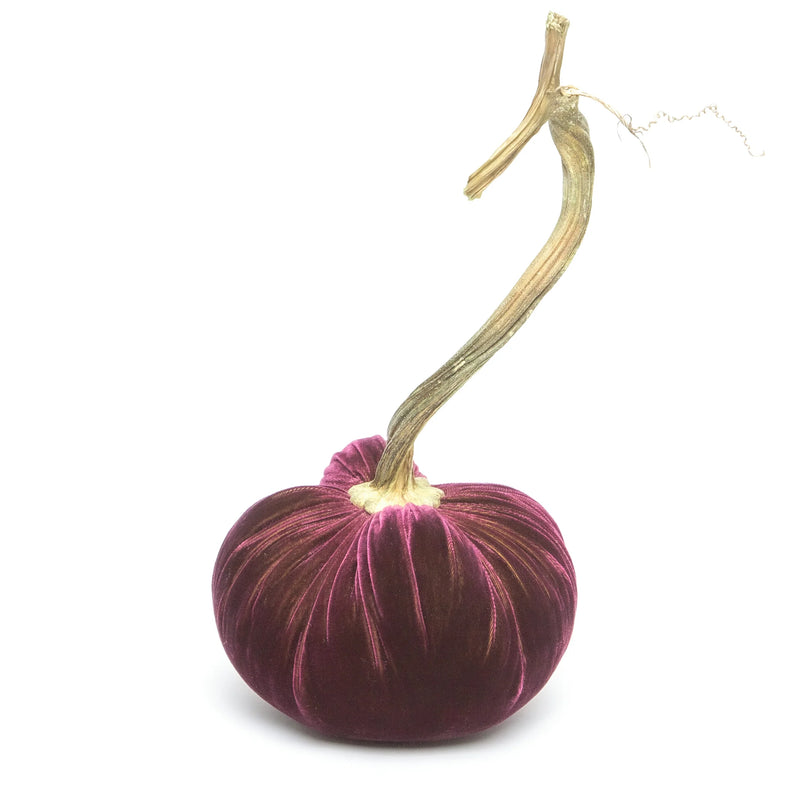 Hot Skwash | Silk Velvet Pumpkin - Bronze - 8, handcrafted with a unique, naturally sourced stem, showcasing luxurious design and artisanal craftsmanship from Oregon.