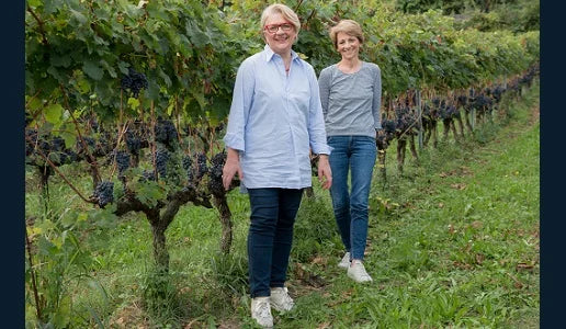 Sorelle Bronca | Prosecco Superior Extra Dry 375 ML