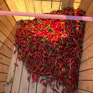 Burlap & Barrel | Szegedi 178 Hot Paprika