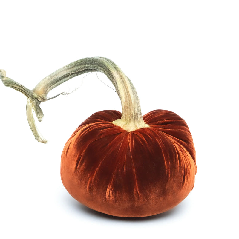 Hot Skwash silk velvet pumpkin with unique natural stem, handcrafted in Oregon, showcasing luxurious decor craftsmanship. Perfect for adding elegance to any space.