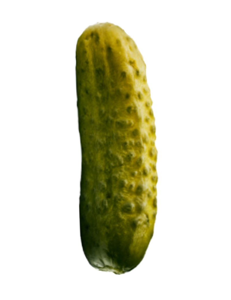 Evergreen and Market | The Ghost Pickle