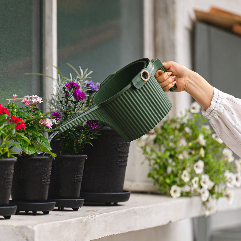 Hachiman Garden Beetle watering can pouring water over garden plants