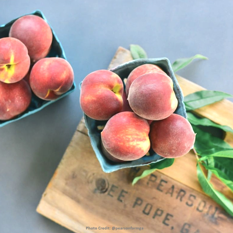 Georgia Jams | Honey Peach