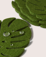 Graf Lantz | Merino Wool Monstera Coaster Set featuring close-up of green leaves, perfect for adding organic glamour to your dining or coffee table.