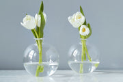 Etú HOME | Clear Sphere Bud Vase showcasing white flowers, highlighting its unique off-center design and artisanal craftsmanship. Perfect for single-stem displays on a tabletop.