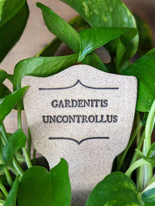 Comic Latin Plant Stakes - Weedis Victorious displayed with close-up plant leaves, showcasing their handcrafted stoneware design for humorous garden labeling.