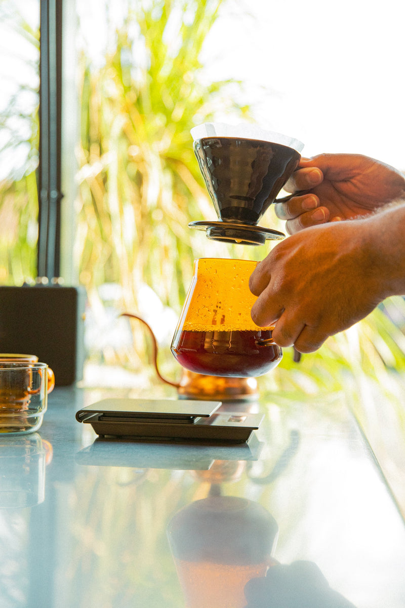 Hario | Glass Coffee and Tea Server 600ml Amber