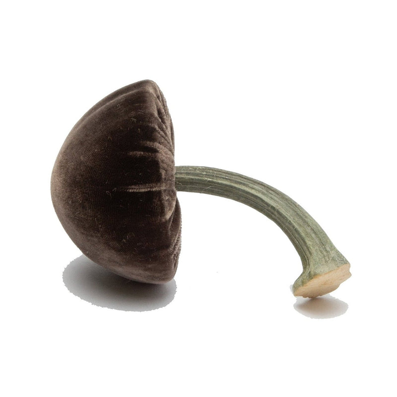 Hot Skwash | Silk Velvet Mushrooms, Espresso