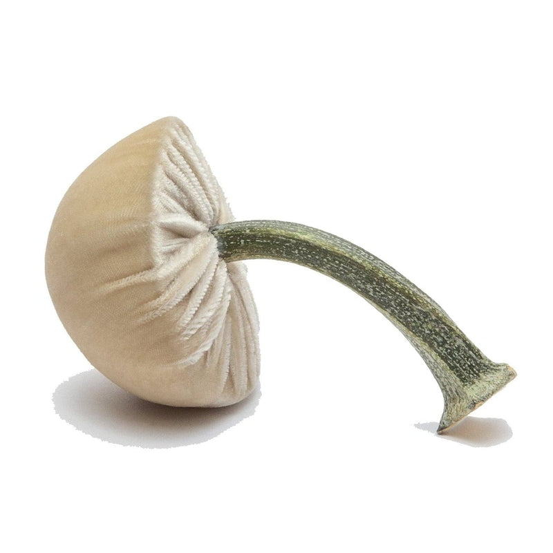 Hot Skwash | Silk Velvet Mushrooms, Cream