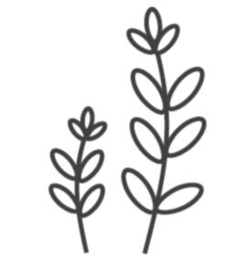 Common Good | All Purpose Bottle, 16 oz Tea Tree