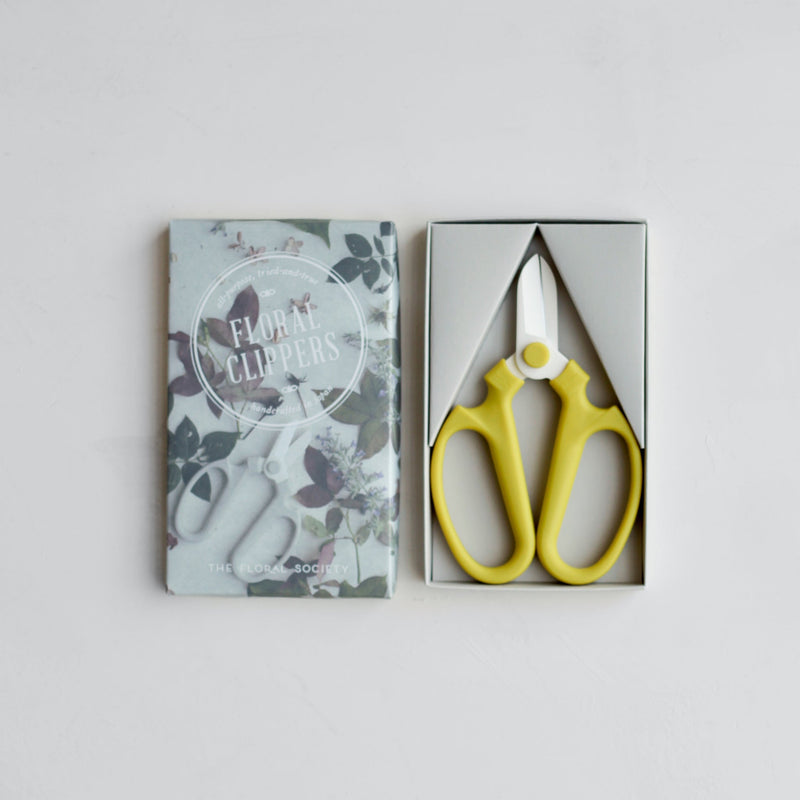 The Floral Society | Japanese Floral Clippers, Citrine, in box with decorative packaging, ideal for precise flower trimming, handcrafted and ergonomic, perfect for garden tasks.