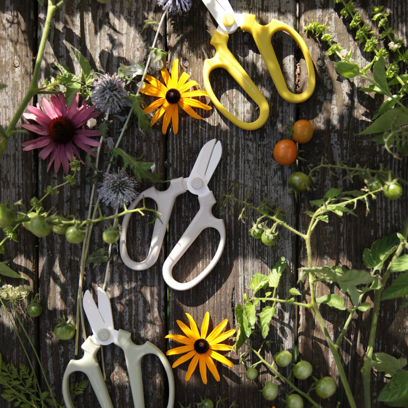 The Floral Society | Japanese Floral Clippers, Citrine, showcased on a rustic surface with garden snips, freshly cut blooms, and tomato vines, emphasizing their precision and ergonomic design.