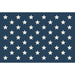 Hester & Cook | Patriotic Collection.