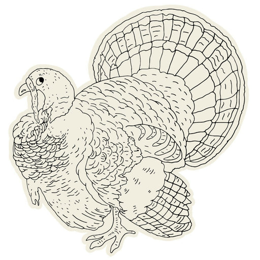 Hester & Cook | Coloring Turkey Placement.