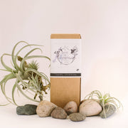 Root & Splendor Laundry Soap Concentrate - Hush - 1.5L, eco-friendly, ultra-concentrated formula in sustainable packaging, shown with natural elements like plants and rocks.