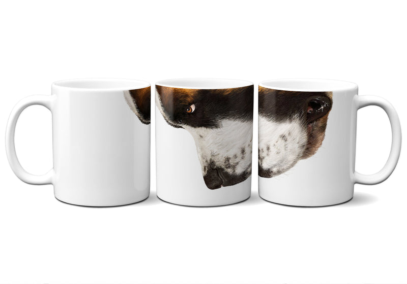 American Brand Studio | St Bernard Snout Mug - 11 oz