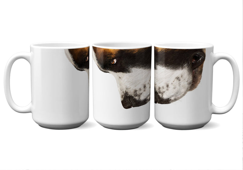 American Brand Studio | St Bernard Snout Mug - 11 oz