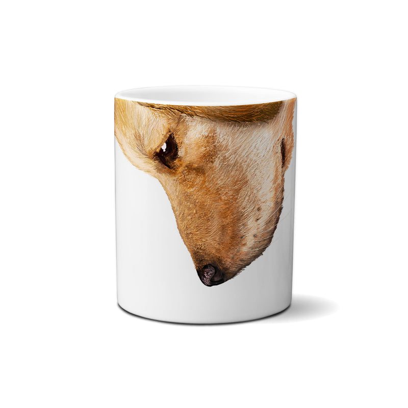 American Brand Studio | Golden Retriever Snout Mug - 11 oz